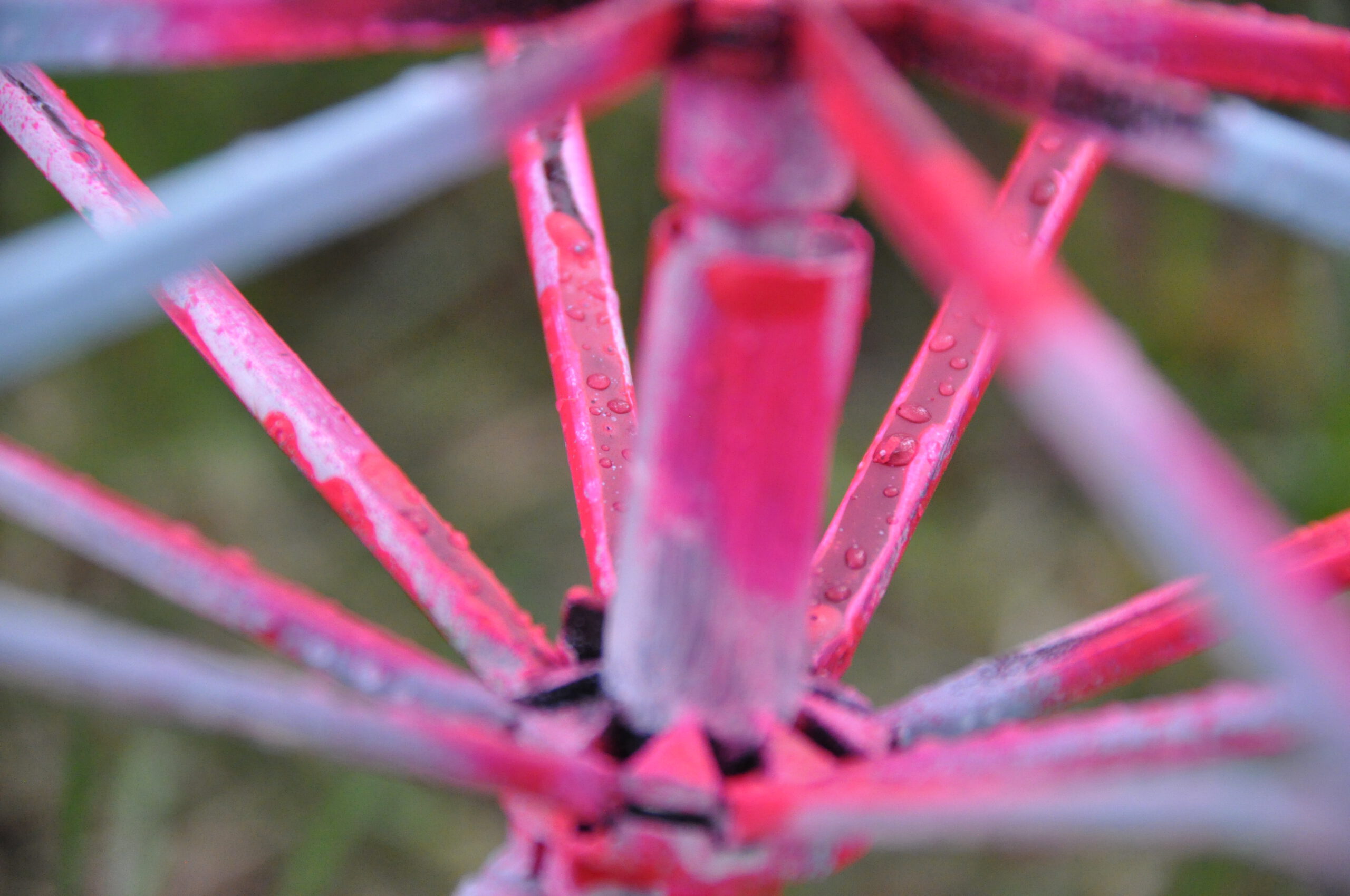 Ich dachte ich hätte geschrien, aber dann hat es keiner gehört.